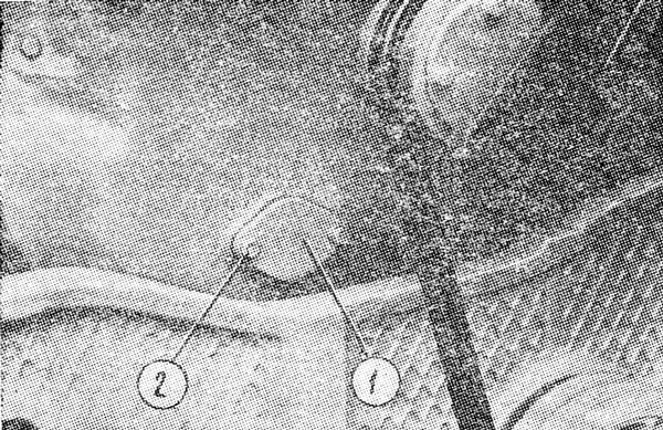 Лючок для наблюдения за зацеплением шестерен привода топливного насоса и распределительного вала Лючок для наблюдения за зацеплением шестерен привода топливного насоса и распределительного вала